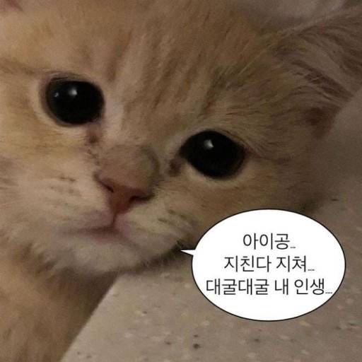 [잡담] 팀장 ㄹㅇ 개패고싶음 들어와봐 내 글 읽어봐 그 누구라도 공감할거다🥲 | 인스티즈