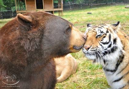 [잡담] 단군즈 정규 마지막 경기를 맞아 단군즈 짤털🐯🐻 | 인스티즈