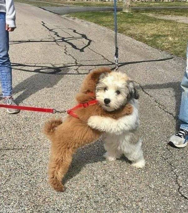 [잡담] 나지금키움의불펜투수들을위해커피차넣으려고 | 인스티즈