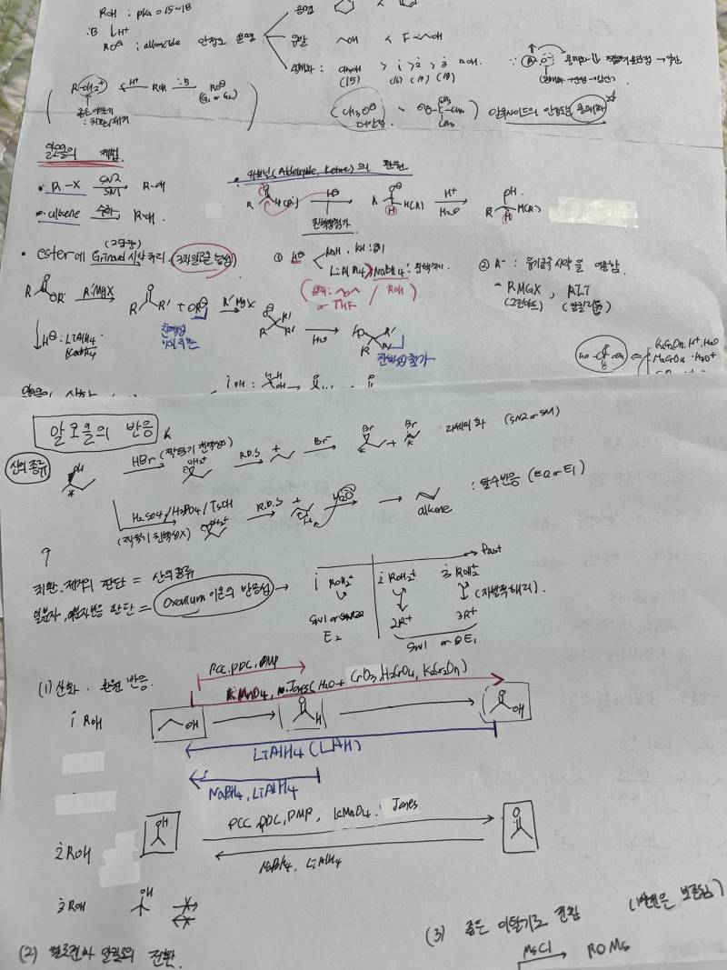 [잡담] 미니멀리스트들아 도와줘 열심히 공부한 흔적을 못버리겠어 | 인스티즈