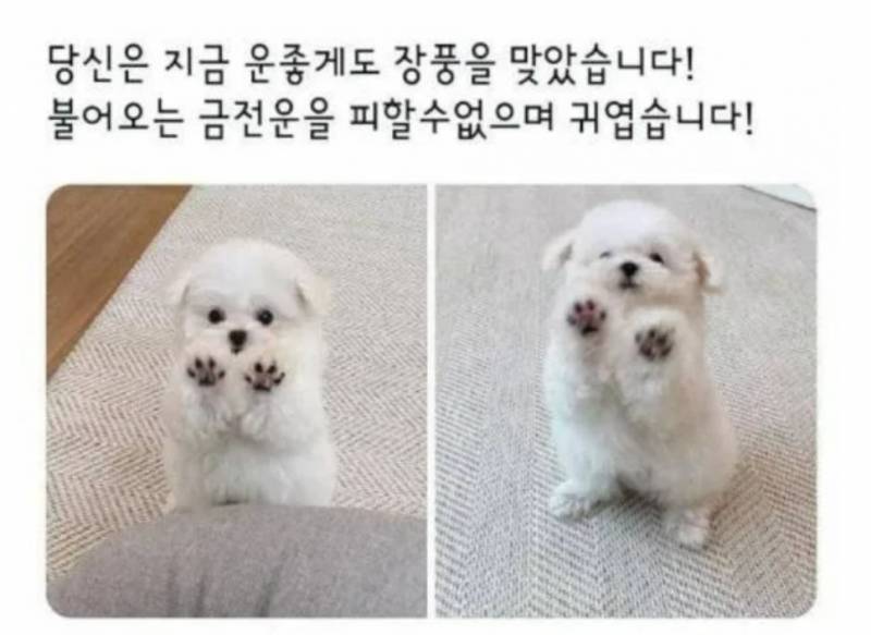 [잡담] 왜 아직 주말이 아닝겨 짜증나구로 | 인스티즈