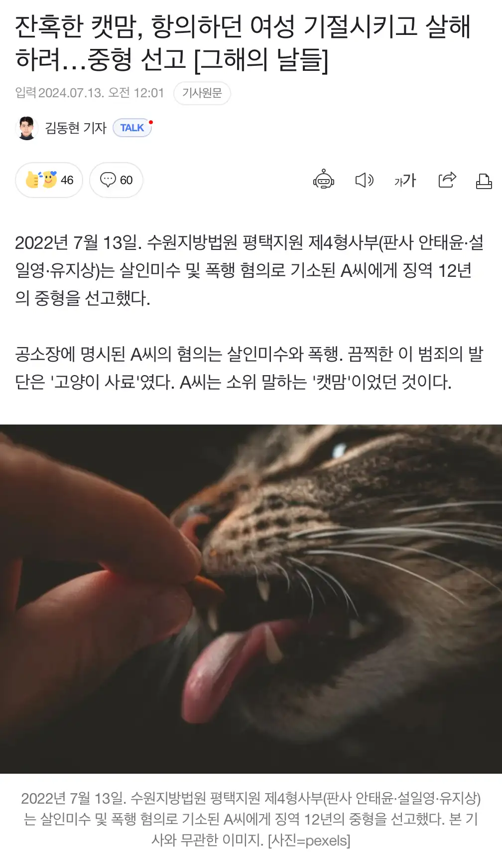 "고양이한테 밥 주지 마세요" 기절 시키고 살인미수로 이어져 | 인스티즈