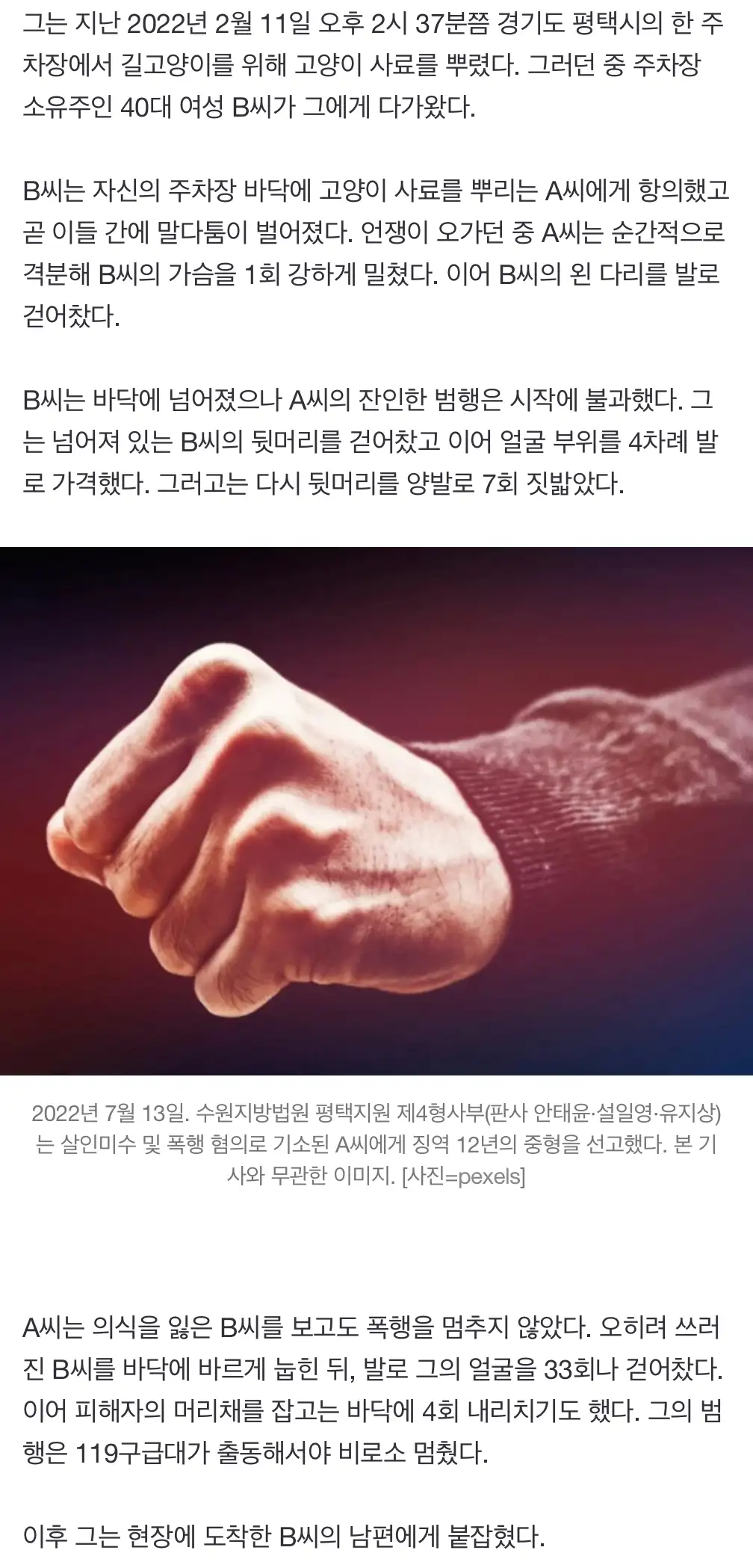 "고양이한테 밥 주지 마세요" 기절 시키고 살인미수로 이어져 | 인스티즈