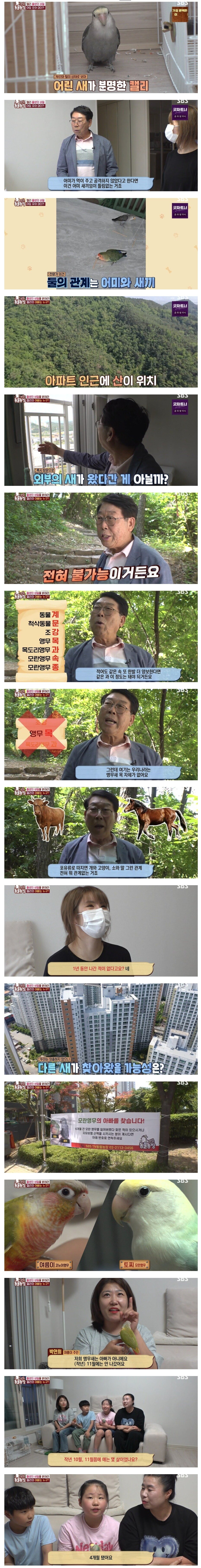 오늘 동물농장에 나온 태어날때부터 한부모가정이었던 앵무새 | 인스티즈