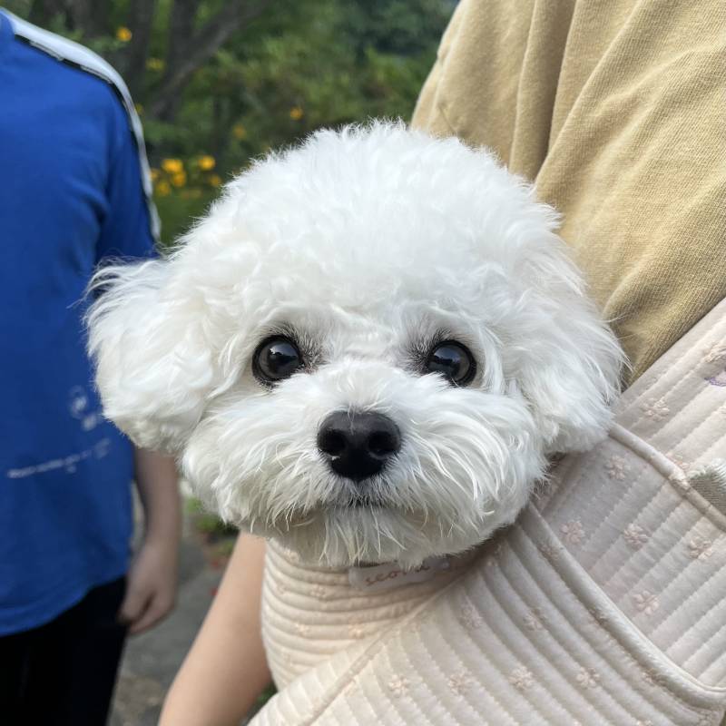 [잡담] 기분 안좋은 익들 울집 굶미 볼래 ~? 🍀 | 인스티즈