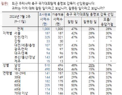 [잡담] 홍명보 선임이 뭐가 문제야?? | 인스티즈