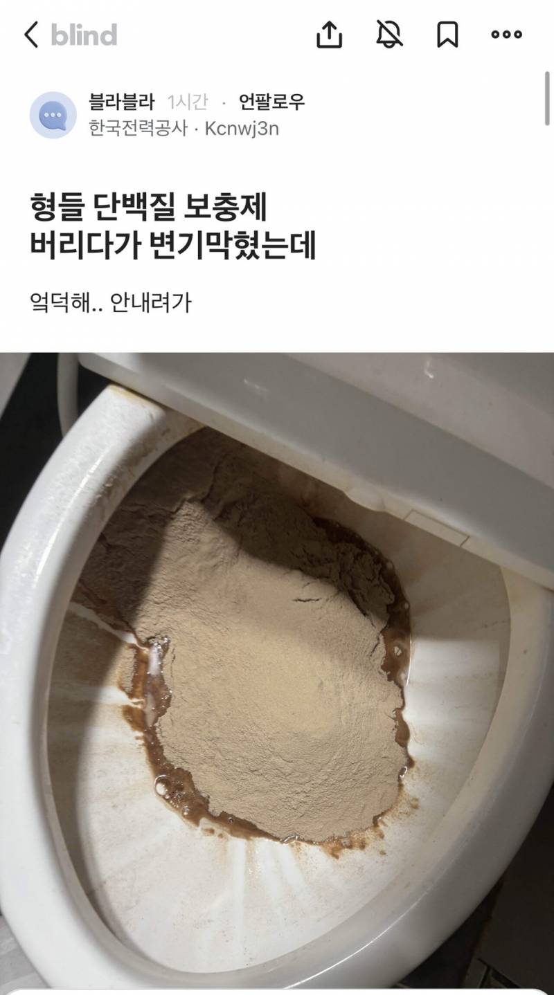 단백질 보충제 버리다가 변기 막혔는데 어떡해 | 인스티즈