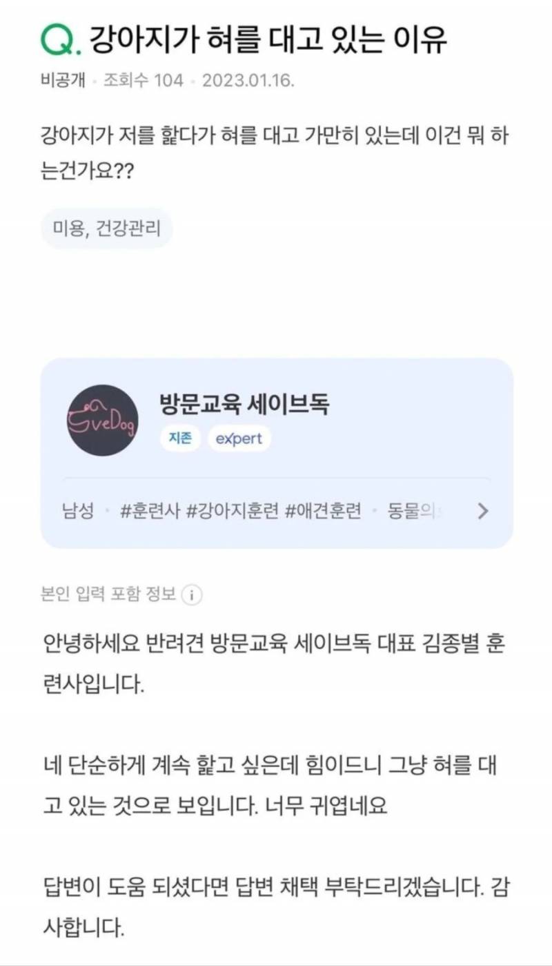 강아지가 혀를 대고있는 이유 | 인스티즈