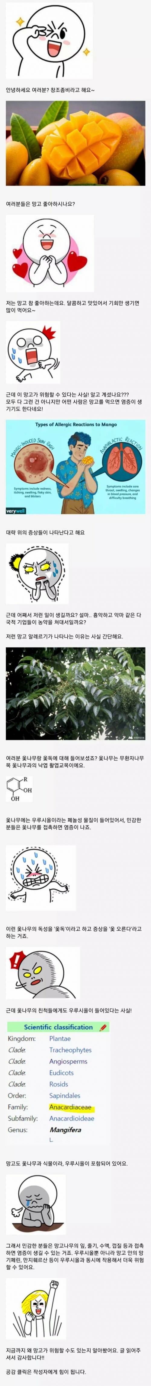 망고가 위험할 수도 있는 이유.jpg | 인스티즈