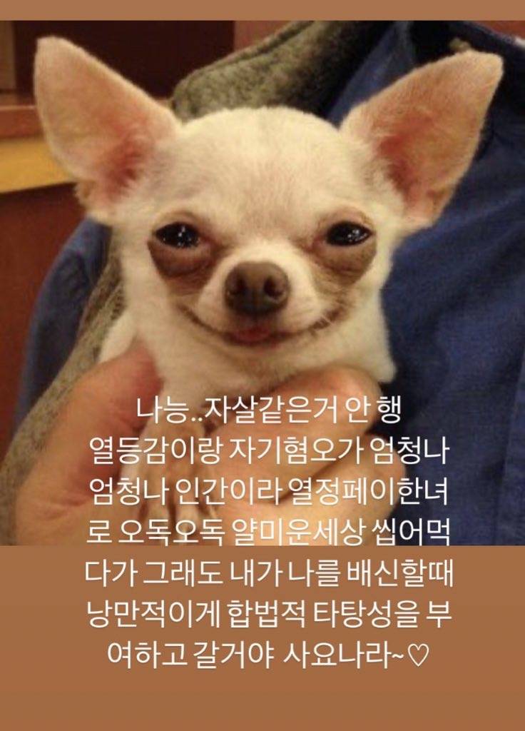 [잡담] 너네 친구도 인스타 비계에 이런글 올려????&lt;&lt;&lt;&lt;&lt;‼️‼️‼️인스타하는 애들아 꼭" 봐줘‼️ | 인스티즈