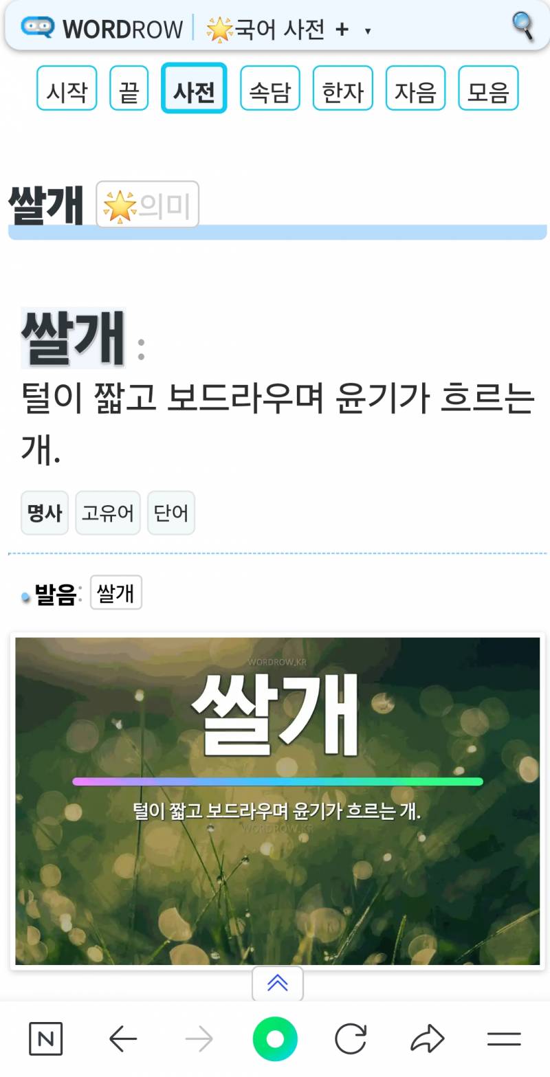 [잡담] 쌀개라는 단어가 너무 귀여워 | 인스티즈