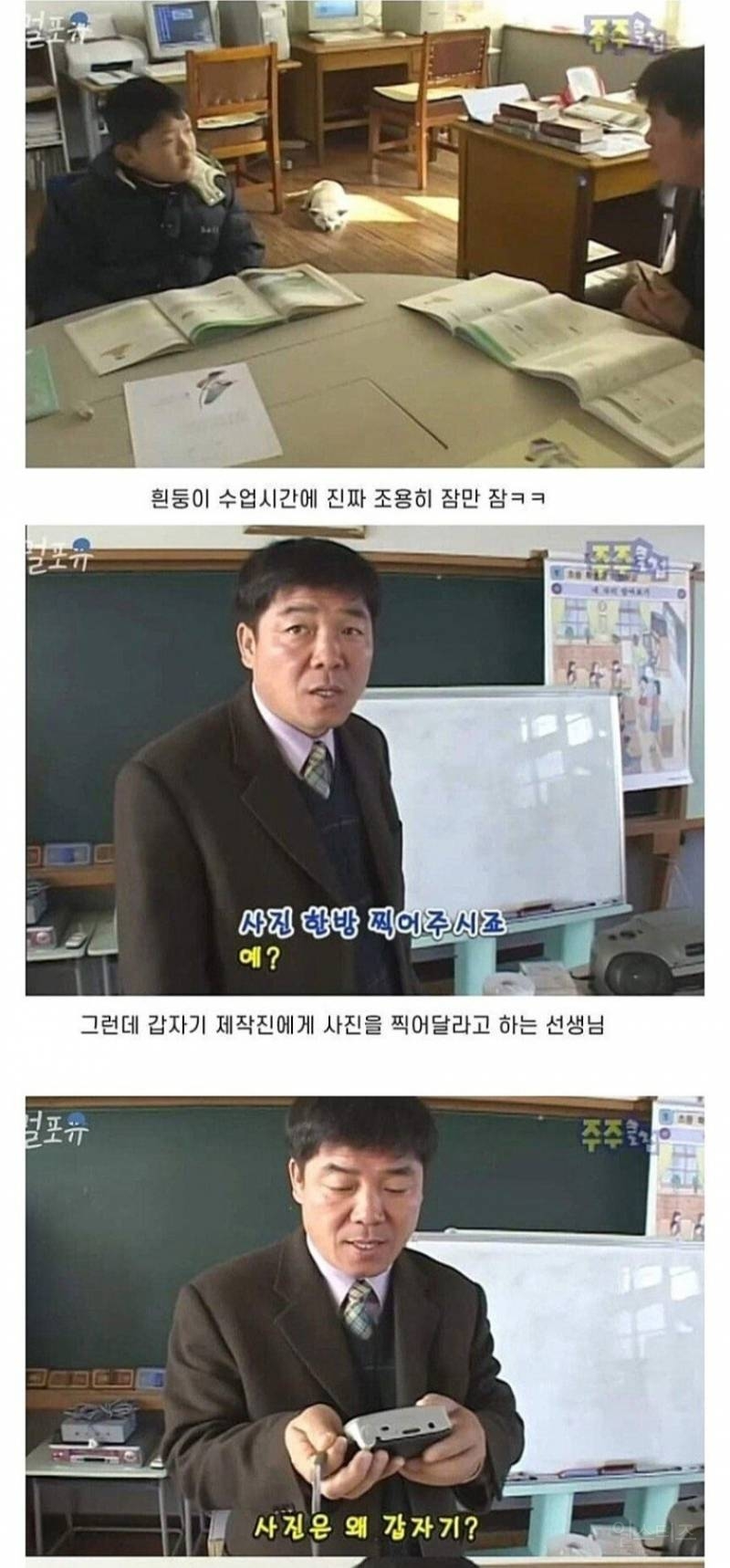 흰둥이랑 등교 했던 섬소년의 근황 입니다 | 인스티즈