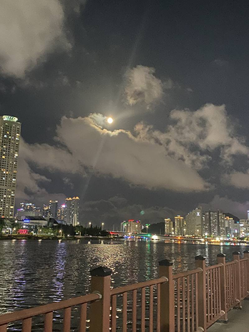 [잡담] 강변 산책하러 나왔는데 하늘 느낌 있지않니🌃 | 인스티즈