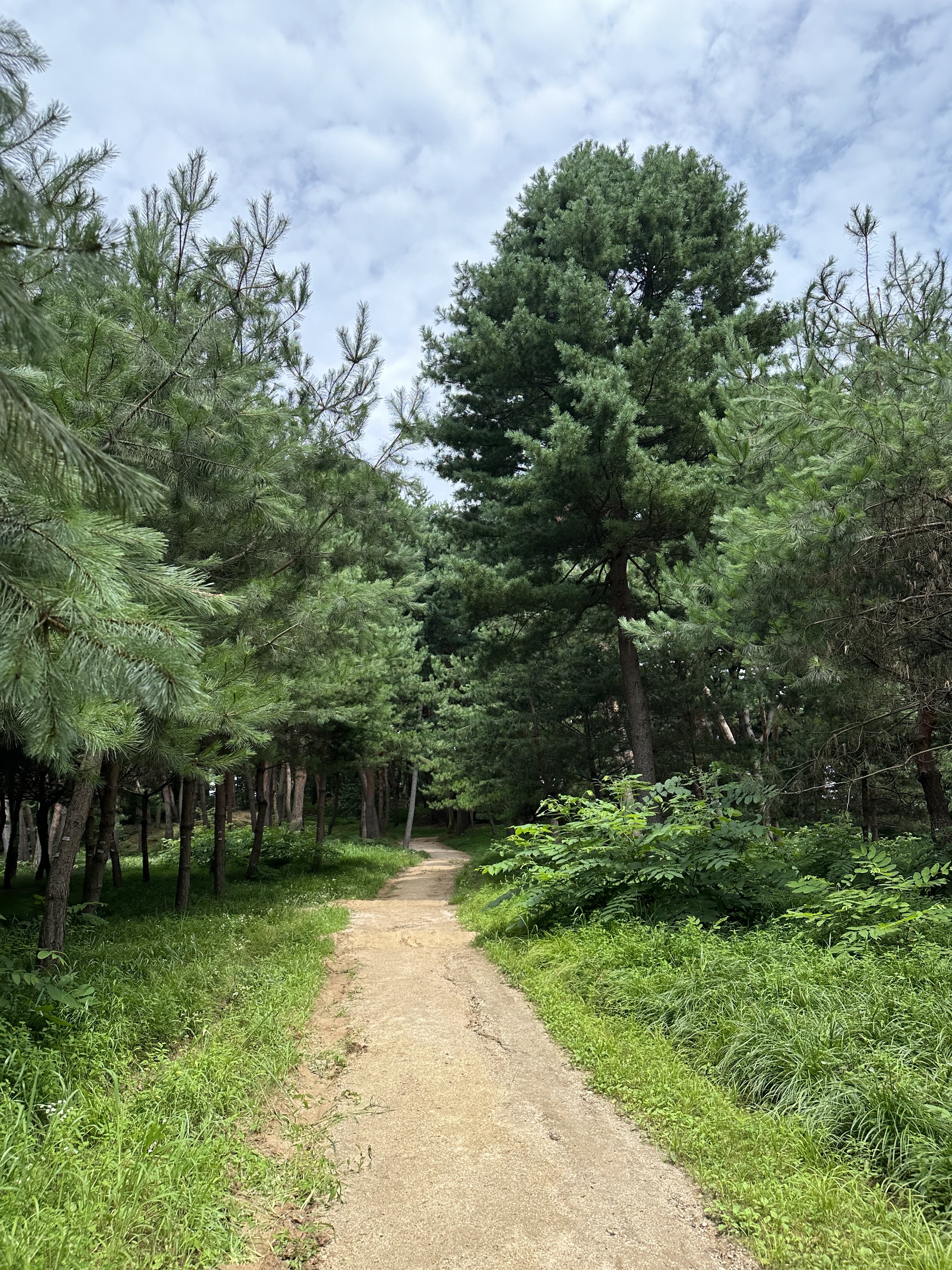 [잡담] 오늘 낮에 산책 다녀왔는데 하늘 진짜 이쁨 | 인스티즈