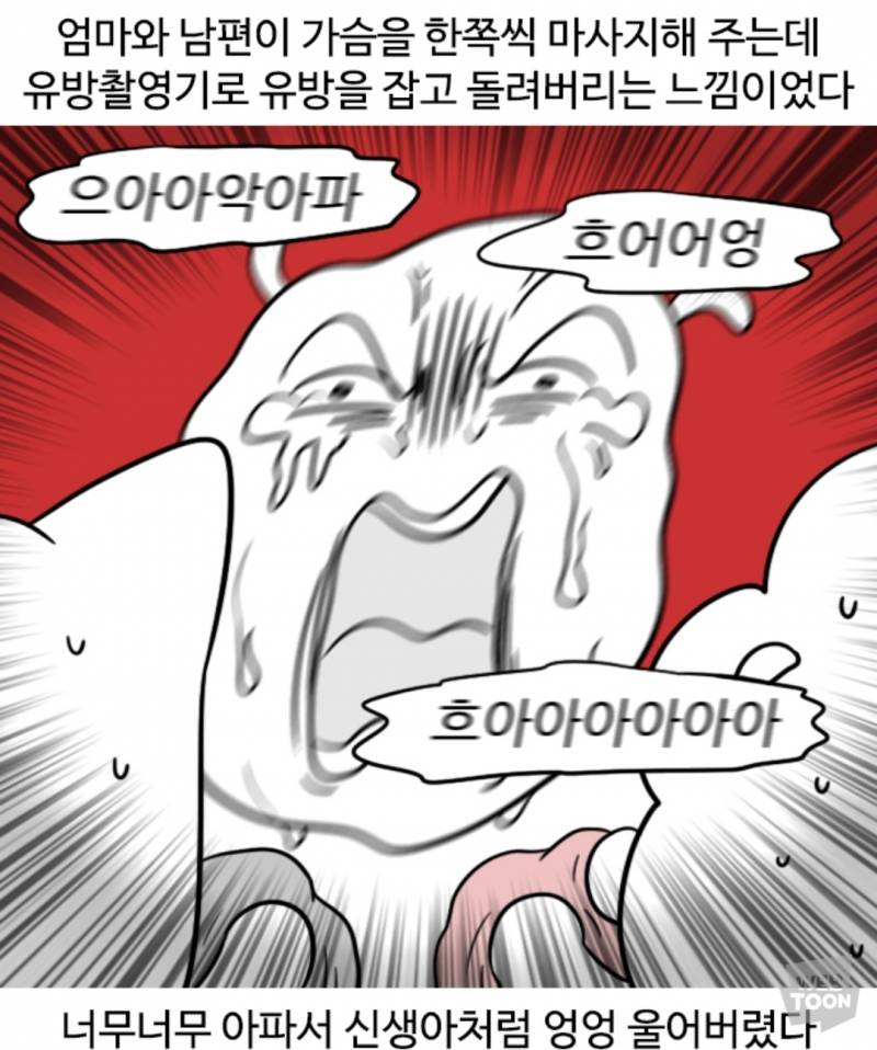 [잡담] 젖몸살 도대체 얼마나 아픈거야 | 인스티즈