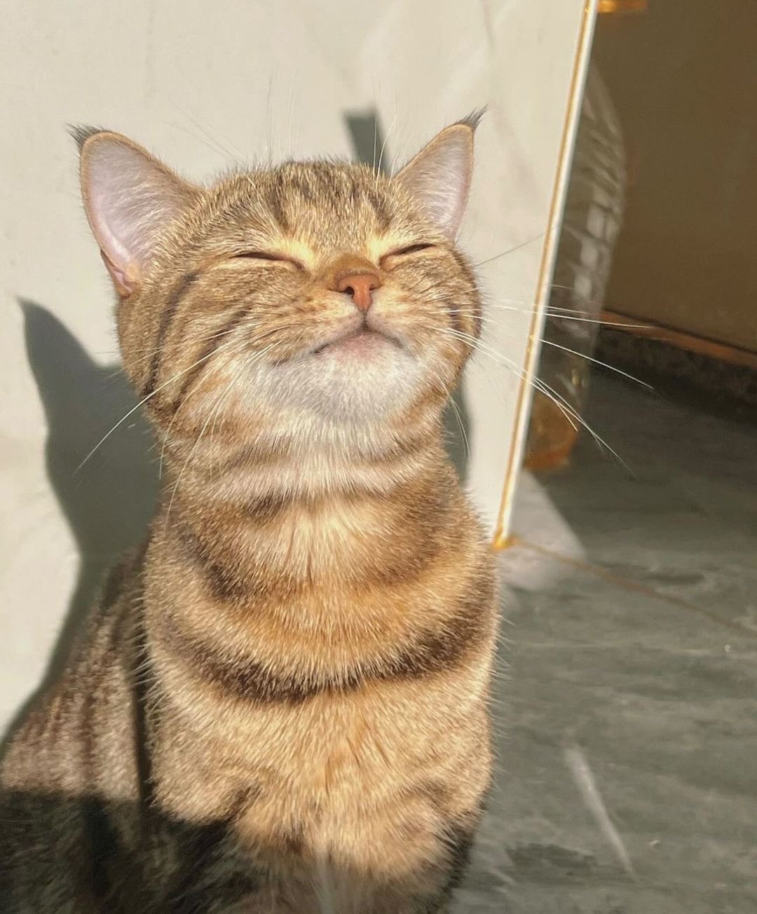 [잡담] 원빈이 깜찍이캣🐈‍⬛ | 인스티즈