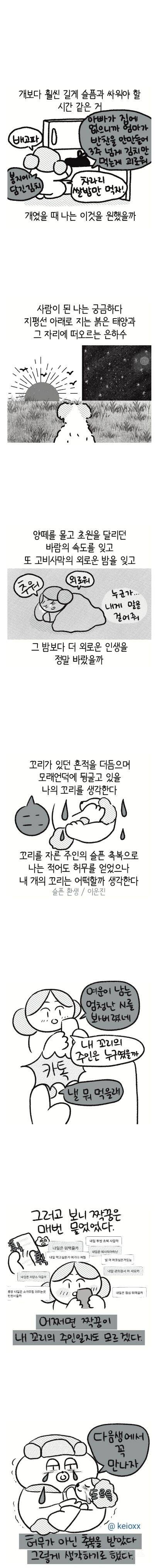 내 꼬리의 주인은 누구였을까?.jpg | 인스티즈