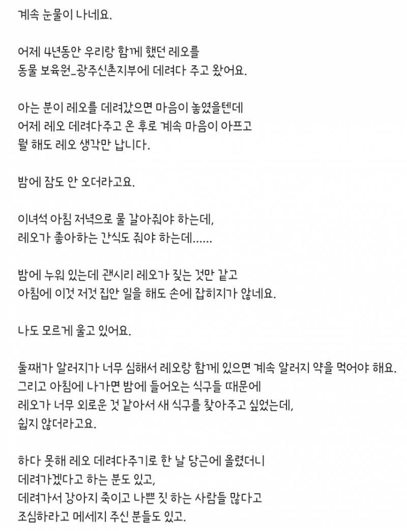 [잡담] 너네 4년 키운 강아지 파양하는 인스타 릴스 봤음? | 인스티즈