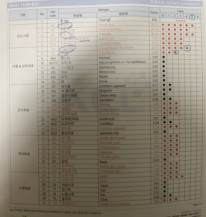 [잡담] 의사선생님이 도대체 어떻게 살고잇냐고한 알레르기결과표 | 인스티즈