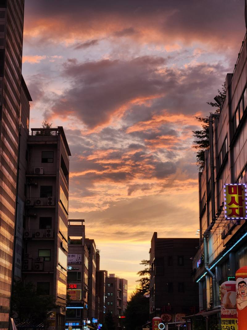 [잡담] 얘둘아 우리동네 지금 노을이 엄청 예쁘다 | 인스티즈