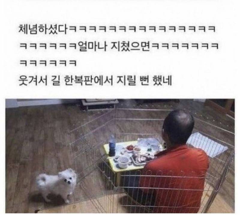 [잡담] 그동안 모은 짤털😵😵.jpg | 인스티즈