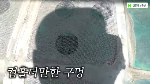 당황을 넘어 어이가 없는 서울대입구 원룸 반지하 상태 | 인스티즈