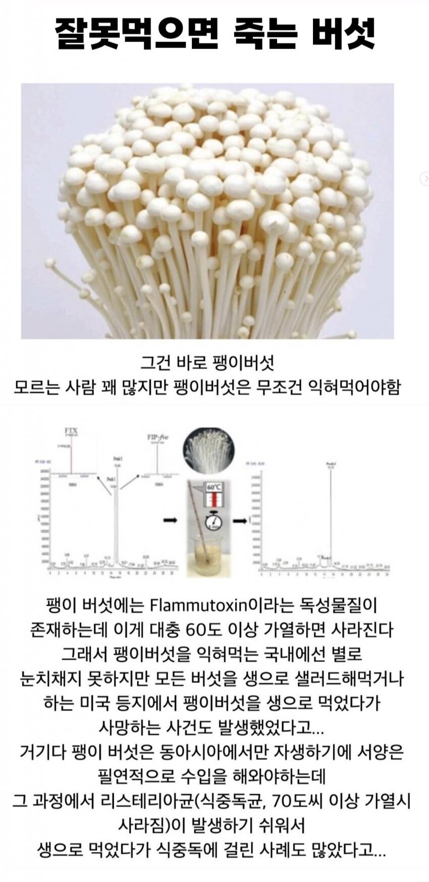 의외로 생으로 먹으면 위험한 음식.jpg | 인스티즈