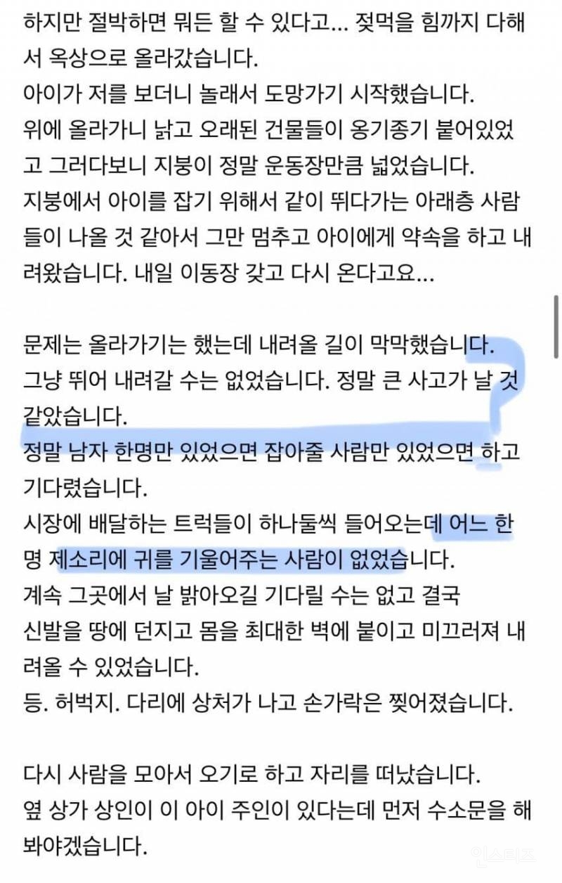 상가 지붕 위에서 우는 아이를 발견 했습니다.jpg | 인스티즈