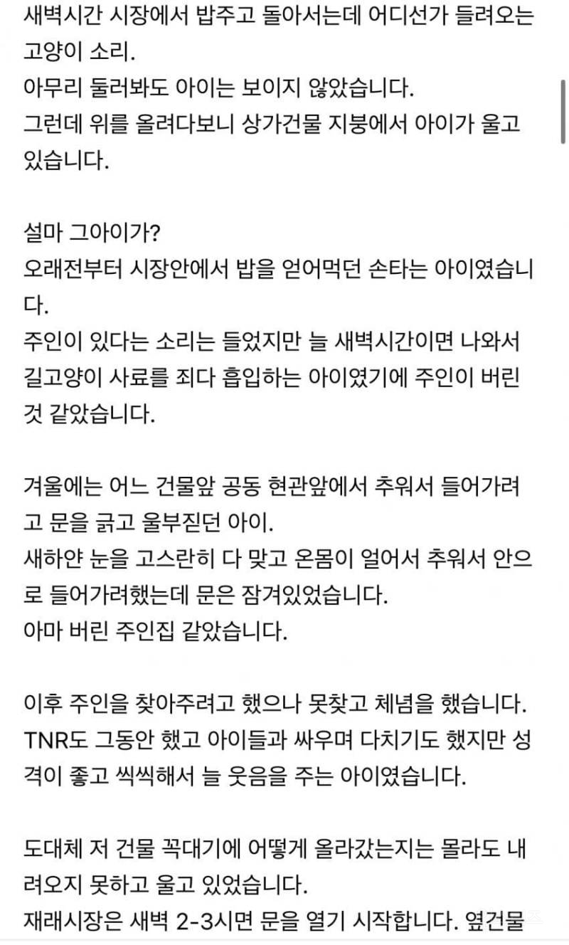 상가 지붕 위에서 우는 아이를 발견 했습니다.jpg | 인스티즈