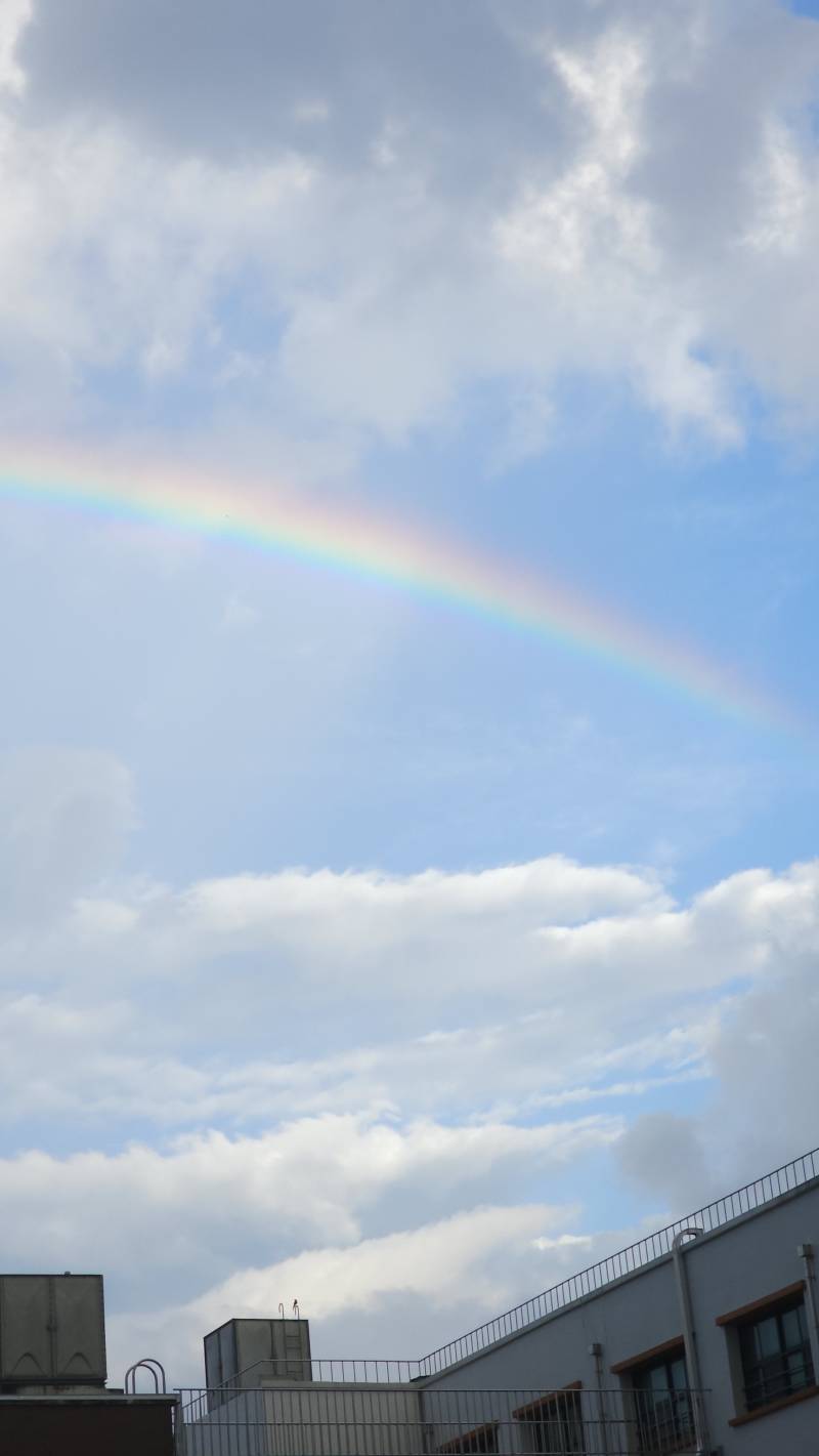 [잡담] 무지개 오랜만에 봤는데 너무 예쁘더라🌈 | 인스티즈