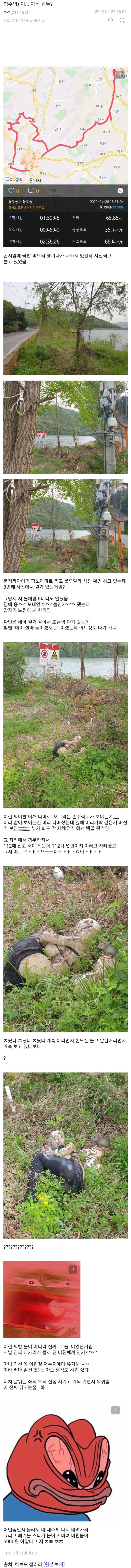 길가다가 저수지에서 식겁한 디시인.jpg | 인스티즈