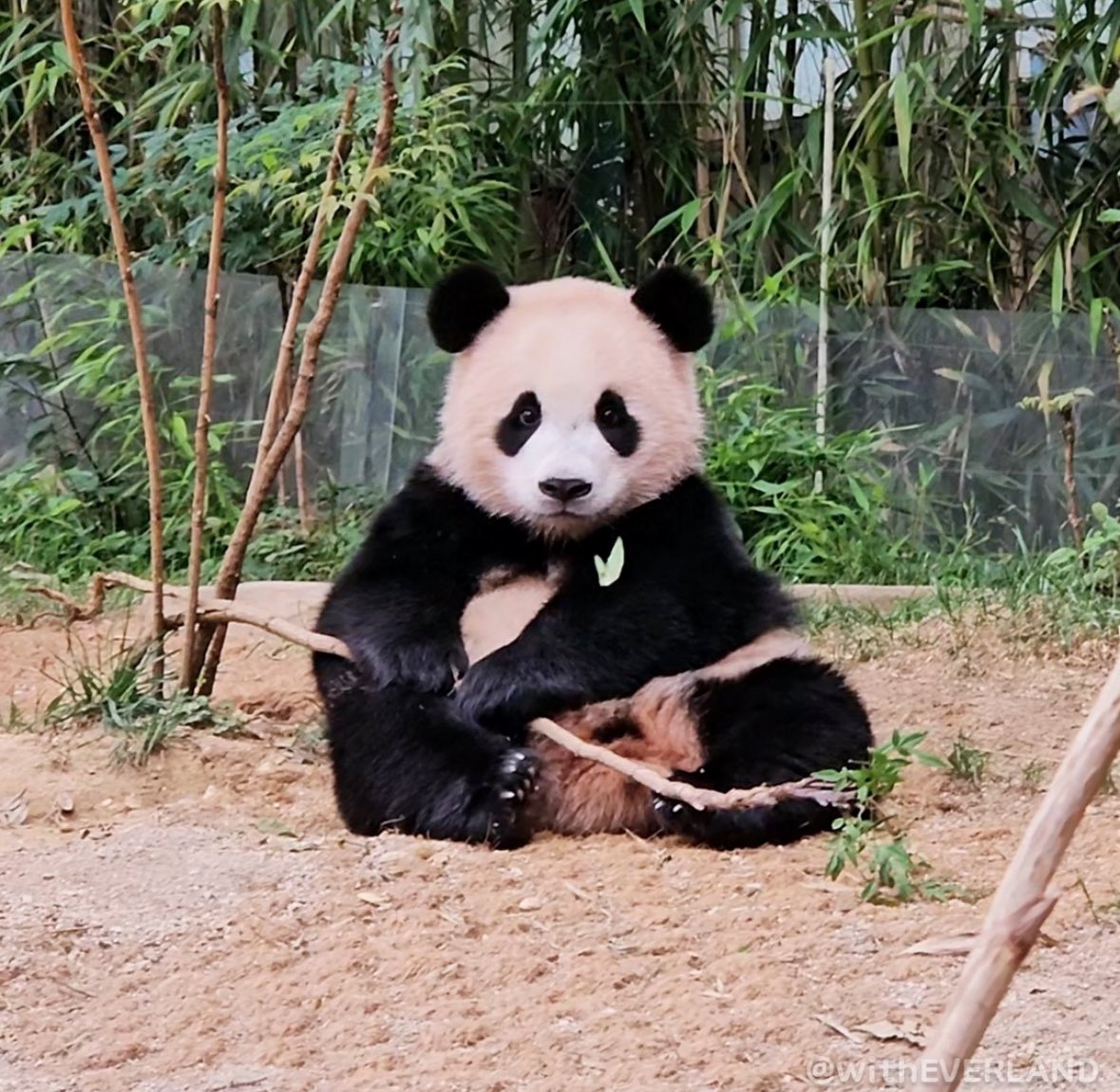 [잡담] 뭘 봐 | 인스티즈