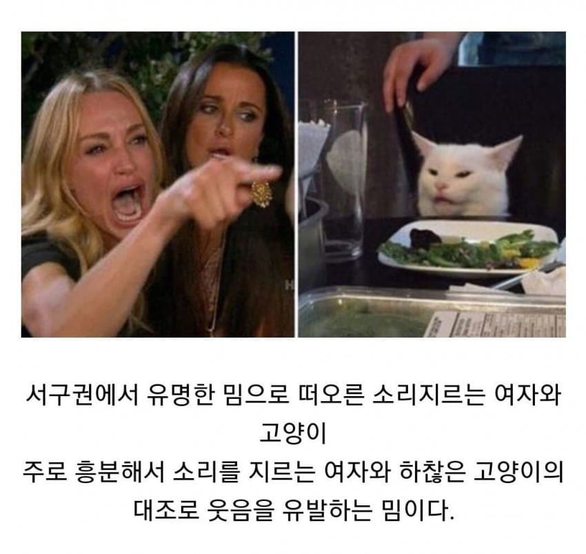 밈으로만 보던 외국여자의 진실.jpg | 인스티즈