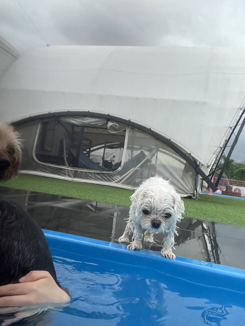 [잡담] 남친이랑 헤어지고 혼자 비맞으면서 수영함………🏊‍♀️ | 인스티즈