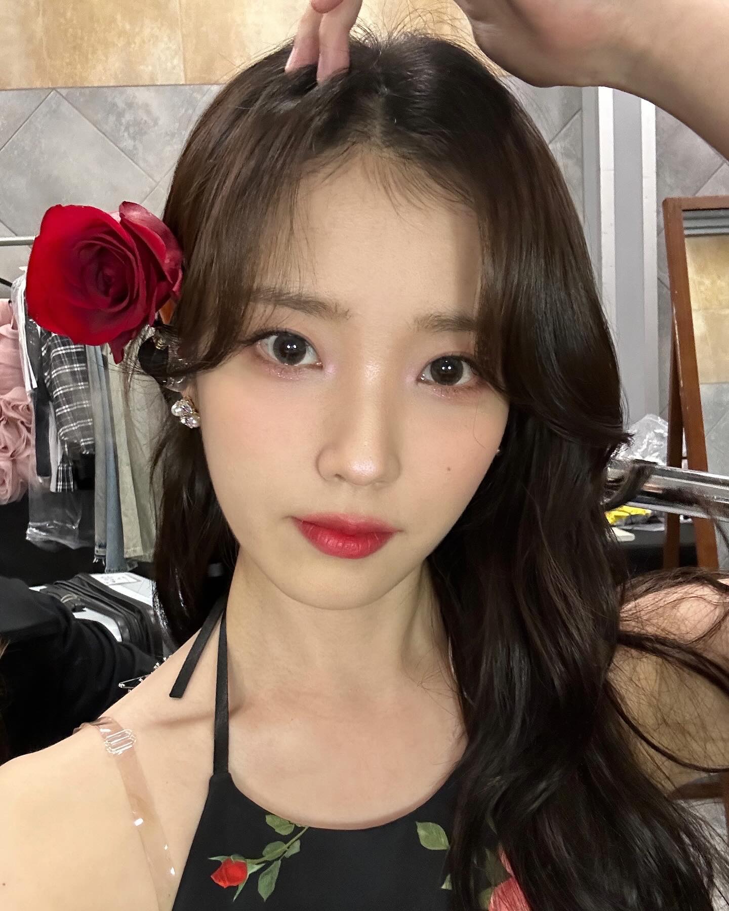 [잡담] 아이유 인스타그램 업데이트🌹 | 인스티즈