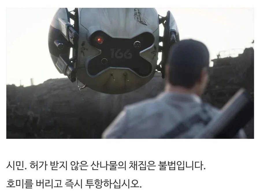 산에서 함부로 나물 캐면 안되는 이유.jpg | 인스티즈