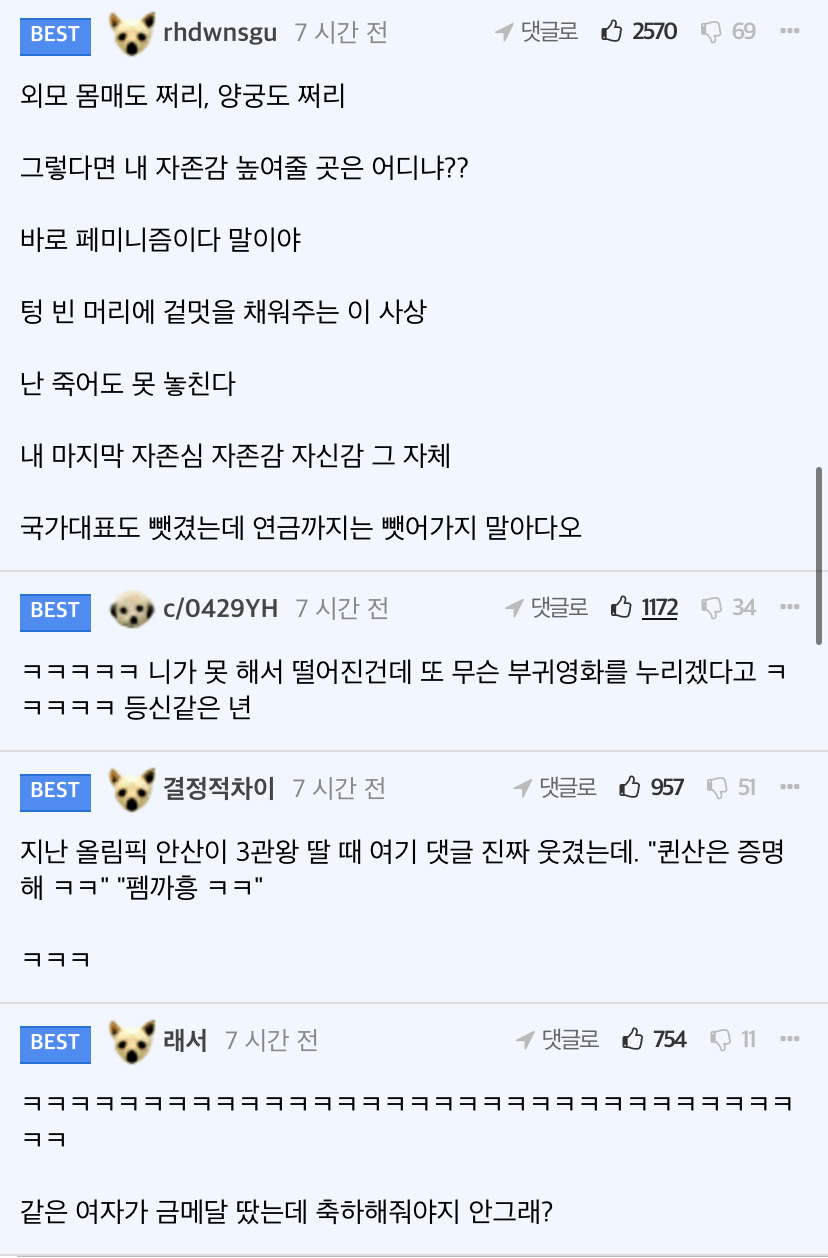 [마플] 안산 여론 진짜 광기가 도대체 왜 이래? | 인스티즈