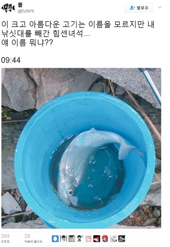 낚시꾼 우롱한 멸종위기종.jpg | 인스티즈