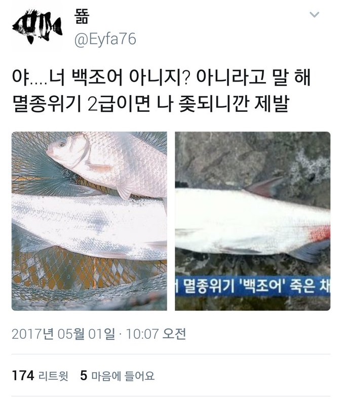 낚시꾼 우롱한 멸종위기종.jpg | 인스티즈