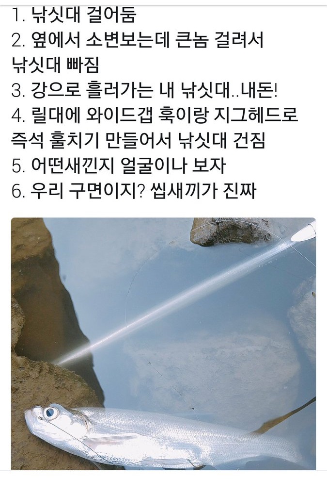 낚시꾼 우롱한 멸종위기종.jpg | 인스티즈