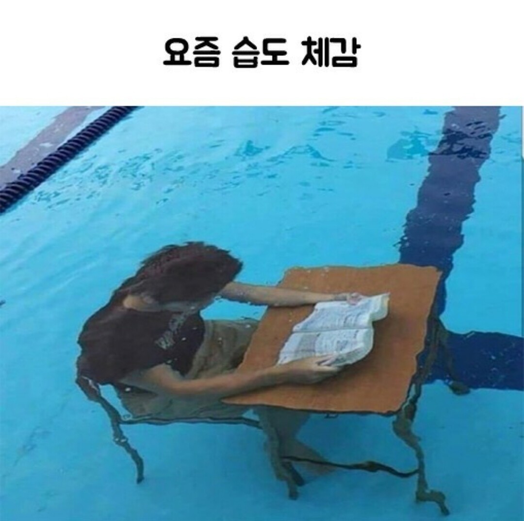 [잡담] 와 지금 전국 습도봐ㅋㅋㅋㅋㅋ | 인스티즈