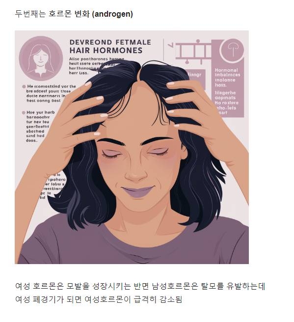 요즘 젊은 여자 탈모 비율이 높은 이유.jpg | 인스티즈