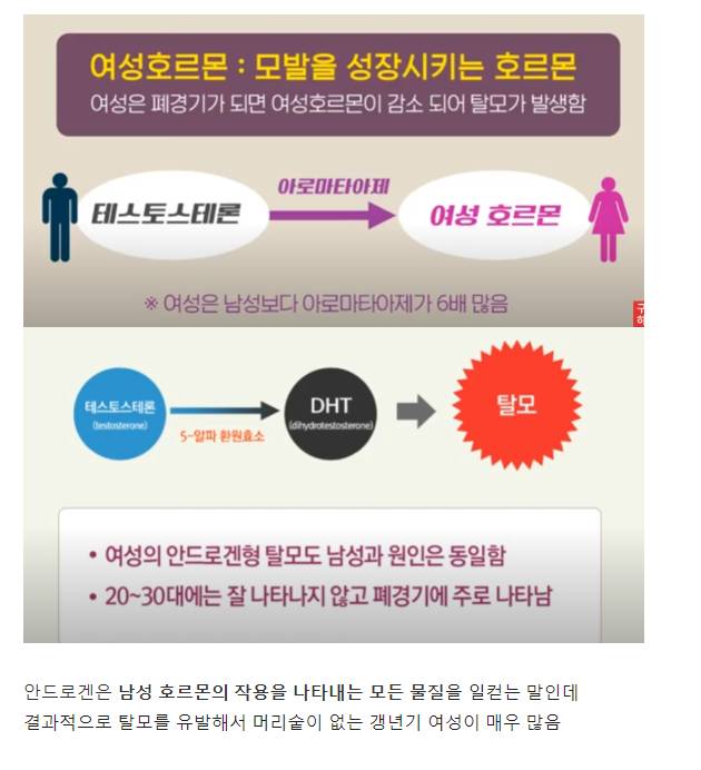 요즘 젊은 여자 탈모 비율이 높은 이유.jpg | 인스티즈