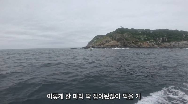 낚시 좋아하는 사람들은 무조건 밥친구로 볼 것 같은 브이로그 | 인스티즈