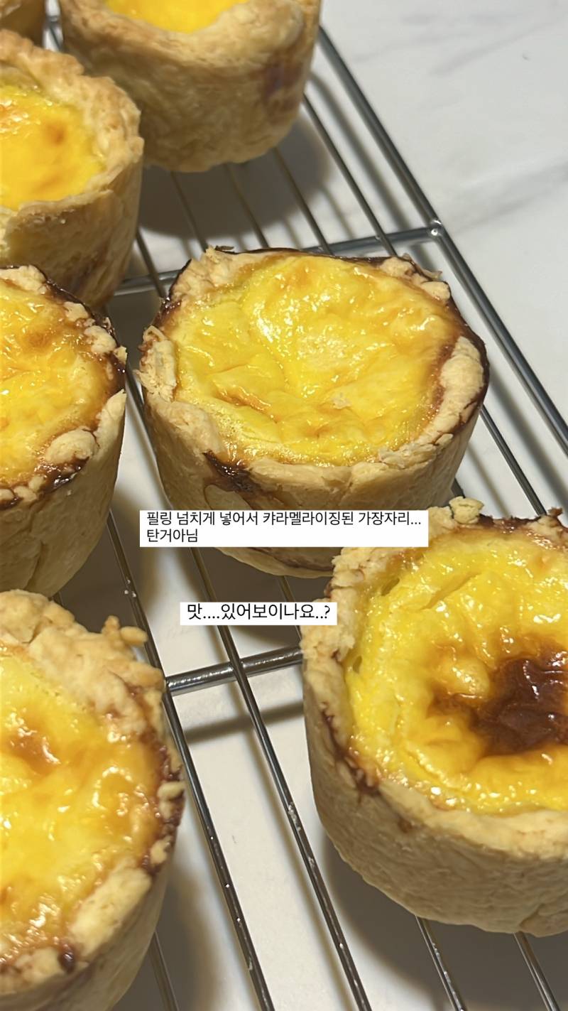 [잡담] 에그타르트 첨 구웠는데 맛있어보여??ㅠㅠ | 인스티즈