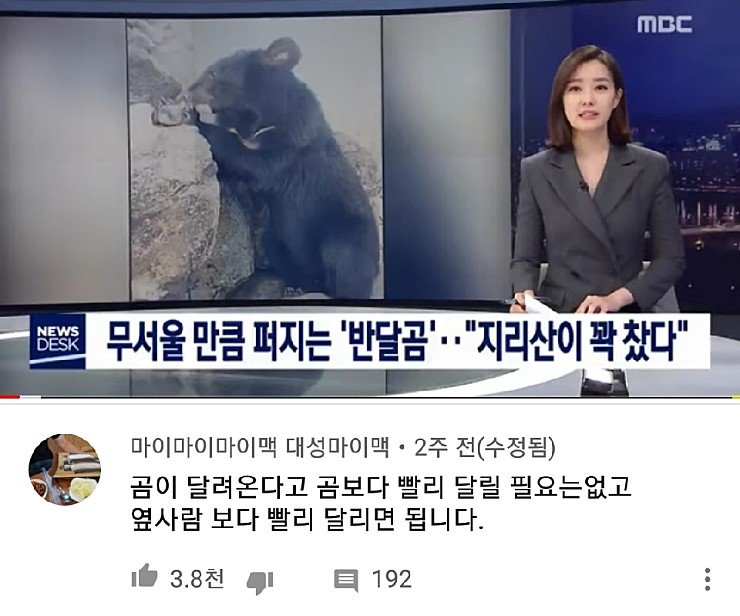 곰이 달려올때 살아남는 방법.JPG | 인스티즈