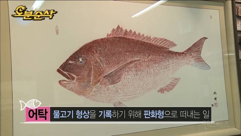 낚시하다가 물에 빠져서 일본까지 떠내려 갔었다는 배우.jpg | 인스티즈