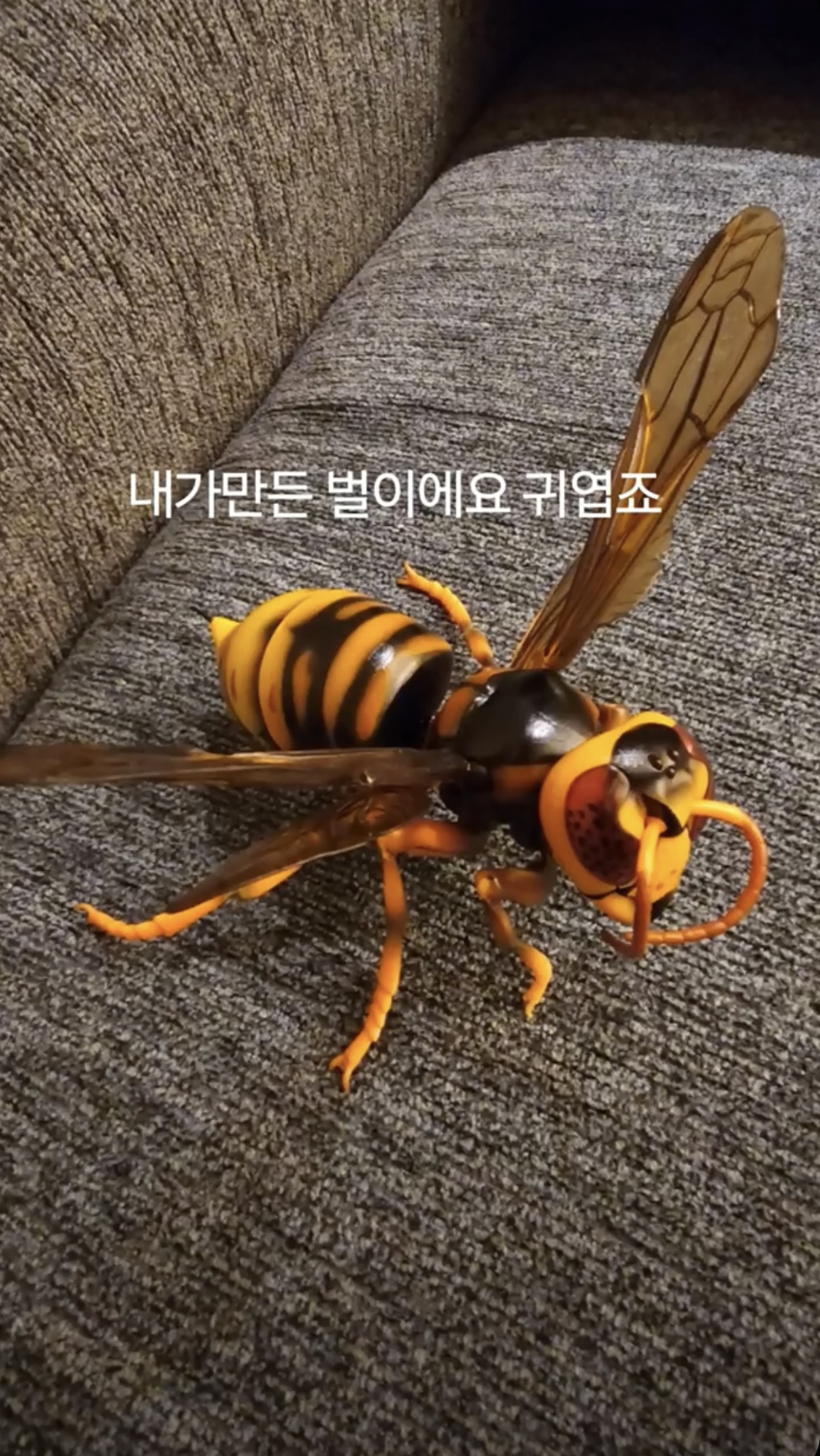 [잡담] 은석이는 알다가도 모르겠다... | 인스티즈