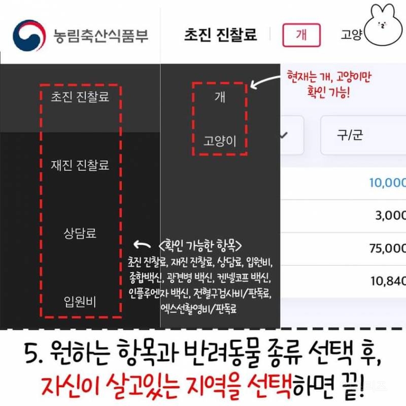 동물병원 호구 당하지 않는 꿀팁 공유 드립니다 | 인스티즈