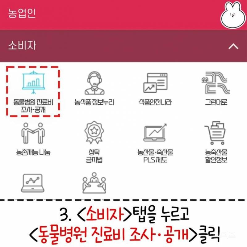 동물병원 호구 당하지 않는 꿀팁 공유 드립니다 | 인스티즈